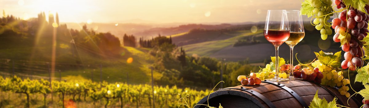 Sur la route des vins