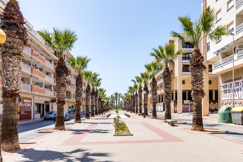 L'avenue bordée de palmiers menant à la plage de Guardamar del Segura